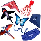 outdoor sport hot sale flying chinese kite from the kite factory