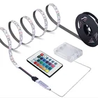 Holiday 1 Meter Waterproof 5050 30 Leds Strip 3*AA Battery Box 24 Keys Remote Holiday Lighting Christmas