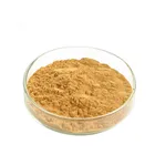 Raw material ginkgo biloba leaf extract 24 6 wholesale