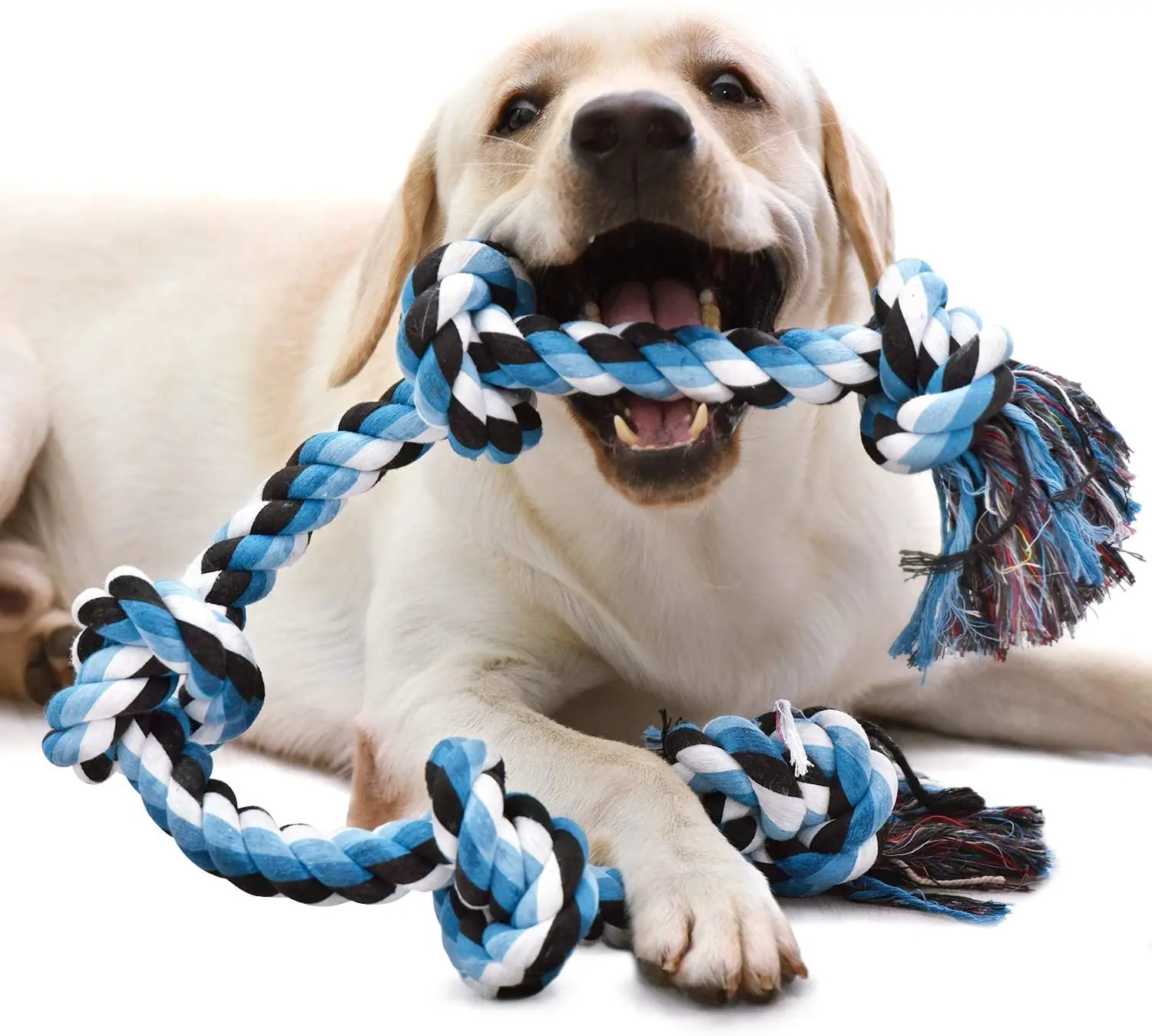 Wholesale Durable 3-Piece Set Pet Chew Rope Toys Eco Friendly Playing Knot Cotton Rope Tug Dog Chew Toys For Pet
Wholesale Durable 3-Piece Set Pet Chew Rope Toys Eco Friendly Playing Knot Cotton Rope Tug Dog Chew Toys For Pet