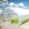 /product-detail/fm-single-span-po-film-tunnel-greenhouse-60707644033.html