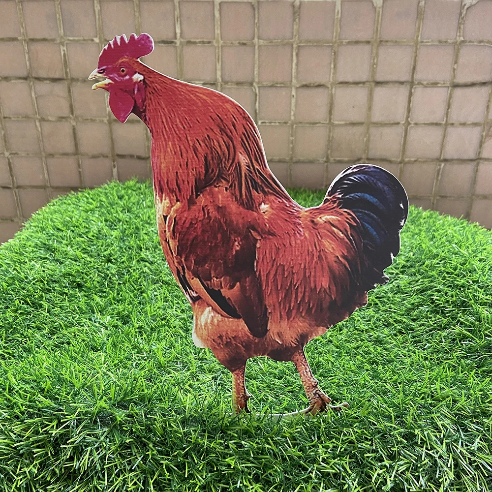 Multifunctional Metal Garden Ornaments Metal Chicken Garden Ornaments Garden Ornaments Metal In China
Multifunctional Metal Garden Ornaments Metal Chicken Garden Ornaments Garden Ornaments Metal In China