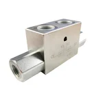 Valves Customized Double Pilot Operated Check Hydraulic Valve