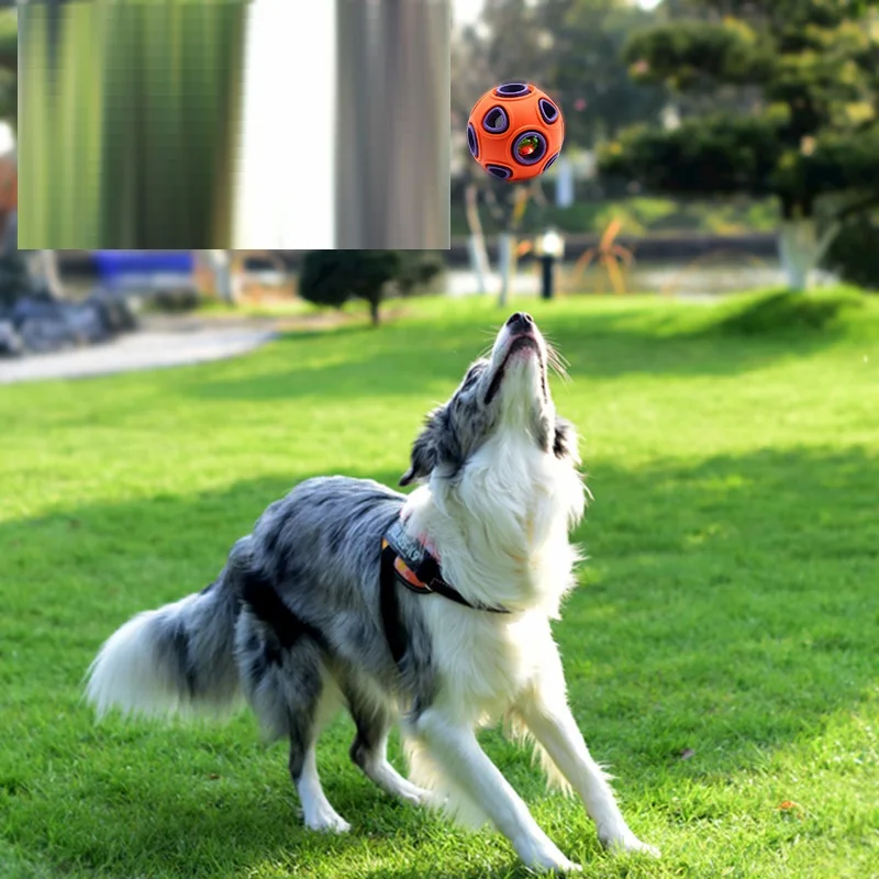 Pet toy dog bite resistant toy ball bell sound molar training ball pet supplies factory wholesale
Pet toy dog bite resistant toy ball bell sound molar training ball pet supplies factory wholesale