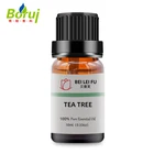 Leaf Part and Essential Oil Bulk Tea Tree Oil