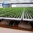 The Cheapest and Best Quality Greenhouse Rolling Benches