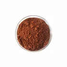 High Quality Natural Grape Seed Extract 95% Procyanidine