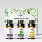OEM Body Massage Shop Organic Natural Essential Tea Tree Oil 10ml For Skin Whitening