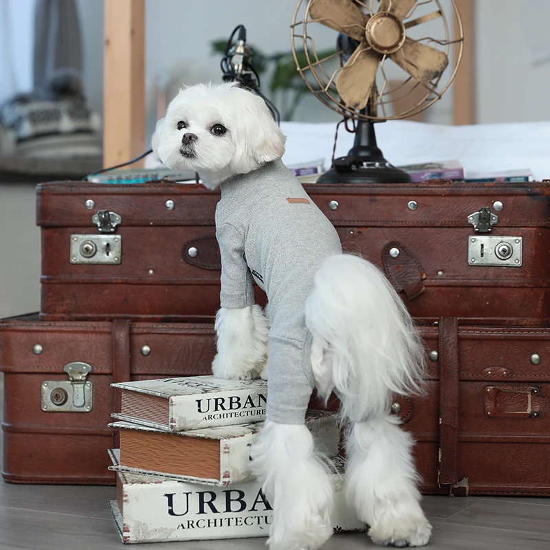 New Best Selling Pet Clothing Dog T shirt Comfortable Skin-Friendly Dog Bottoming Shirt Pets Accessories Dogs Clothes For KR JP