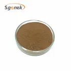 China factory supply High quality natural neem leaf extract Powder