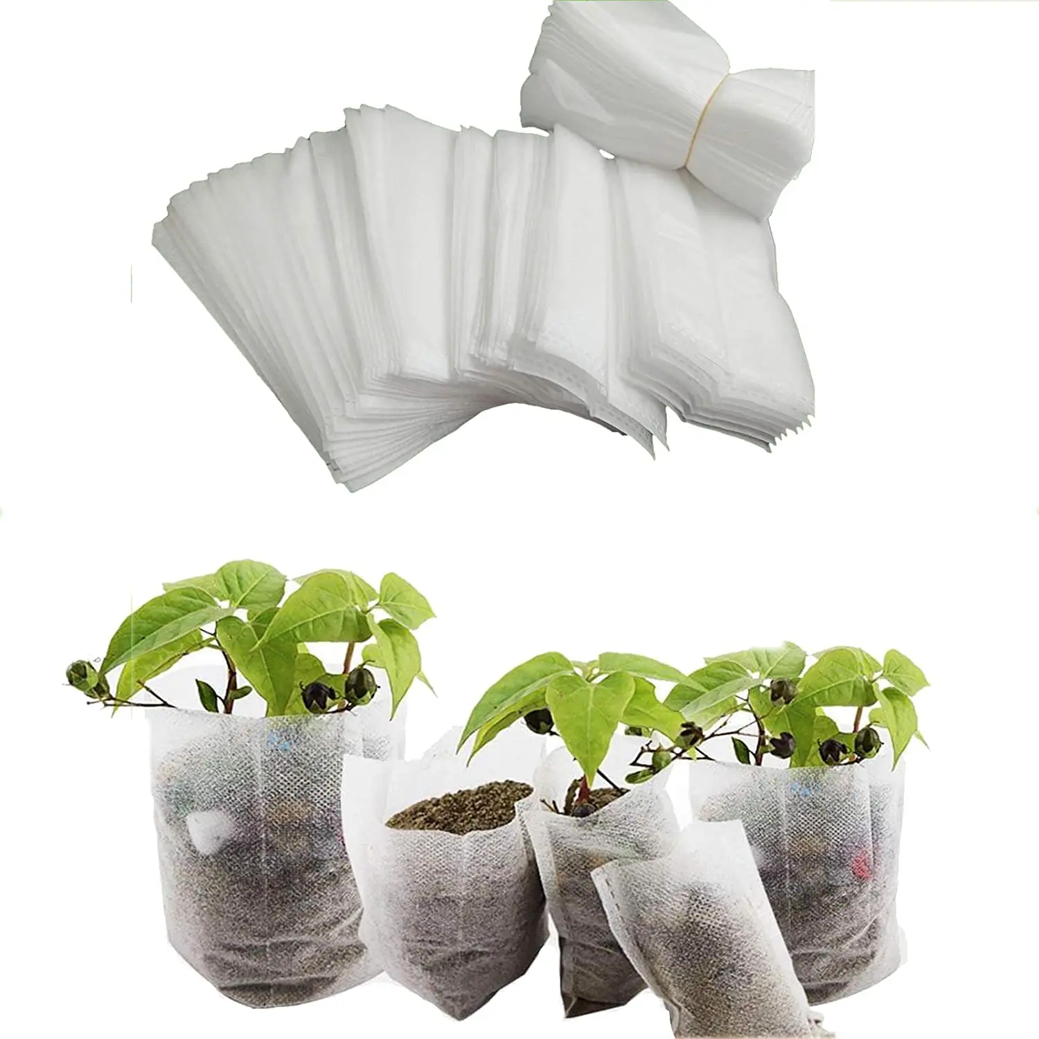 White Bolsa De Cultivo Convenient And Simple 100Pcs Non Woven Biodegradable Pots Seedlings Mushroom Plant Grow Bags 
White Bolsa De Cultivo Convenient And Simple 100Pcs Non Woven Biodegradable Pots Seedlings Mushroom Plant Grow Bags