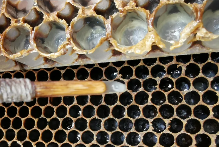 USDA pure organic fresh royal jelly good health gelle royal jelly for sale