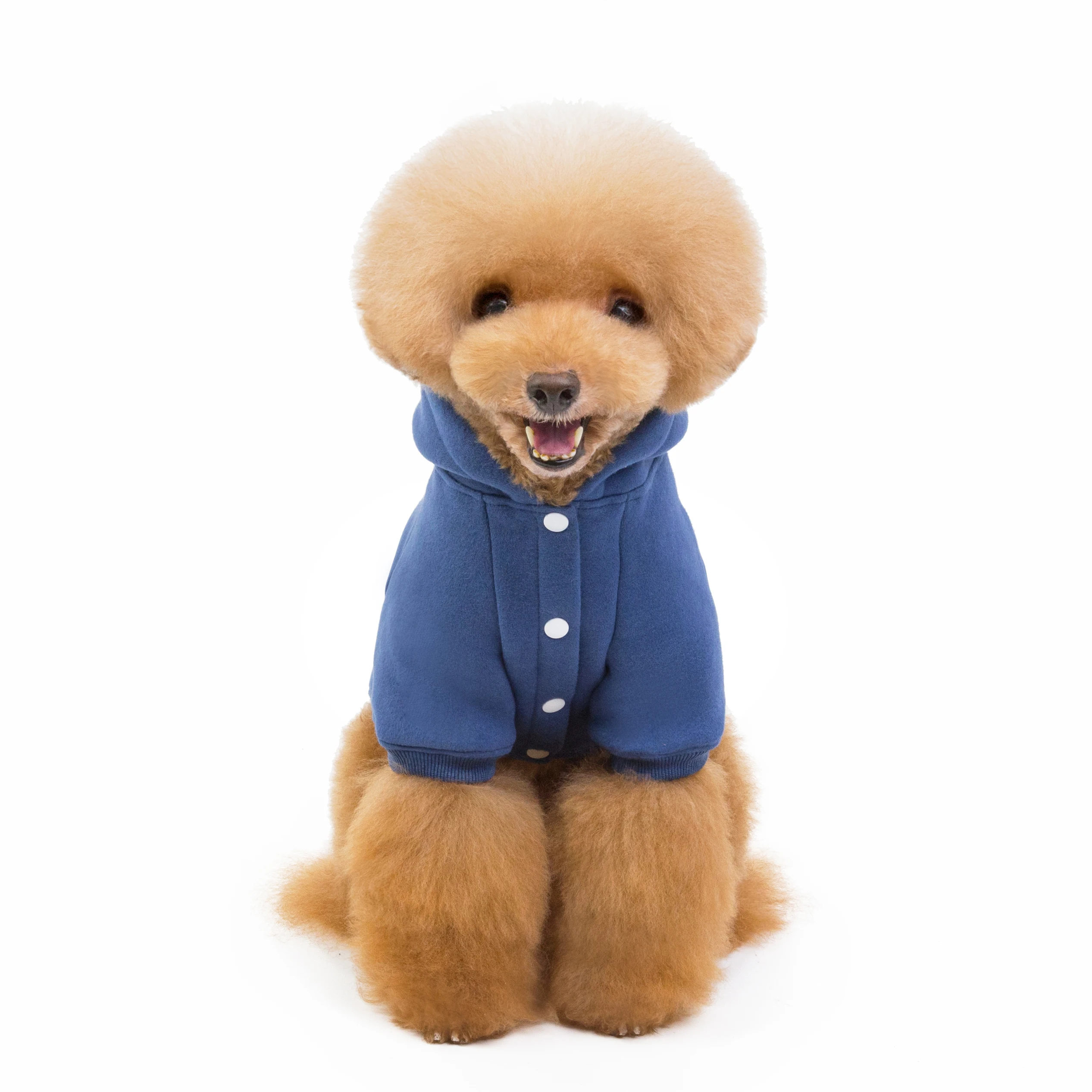 Winter New Pet Supplies Dog Sweater Fleece Cotton Pet Clothes Dog Hoodie Teddy Bulldog Solid Color Casual Dog Coats Wholesale