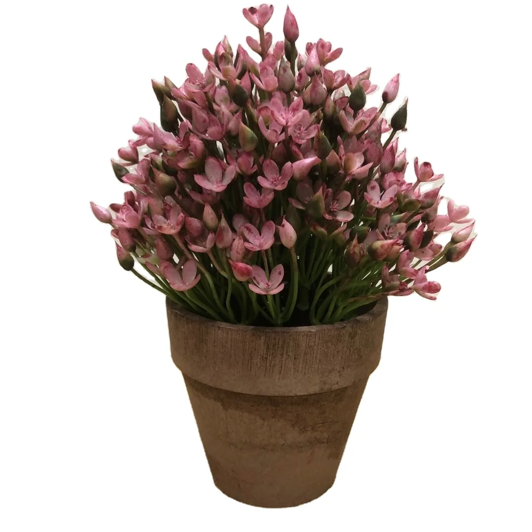 Artificial flowers bonsai plastic artificial plants artificial home office decoration, Customized
Artificial flowers bonsai plastic artificial plants artificial home office decoration, Customized