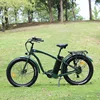 /product-detail/oem-city-fat-tire-electric-bike-cheap-electric-bicycle-classical-city-e-bike-62192160380.html