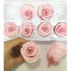 Dry rose flower wholesale yunnan preserved flower gift preserved flower guangzhou