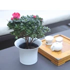 OEM spinning aluminum high-quality flower pot and planter pot