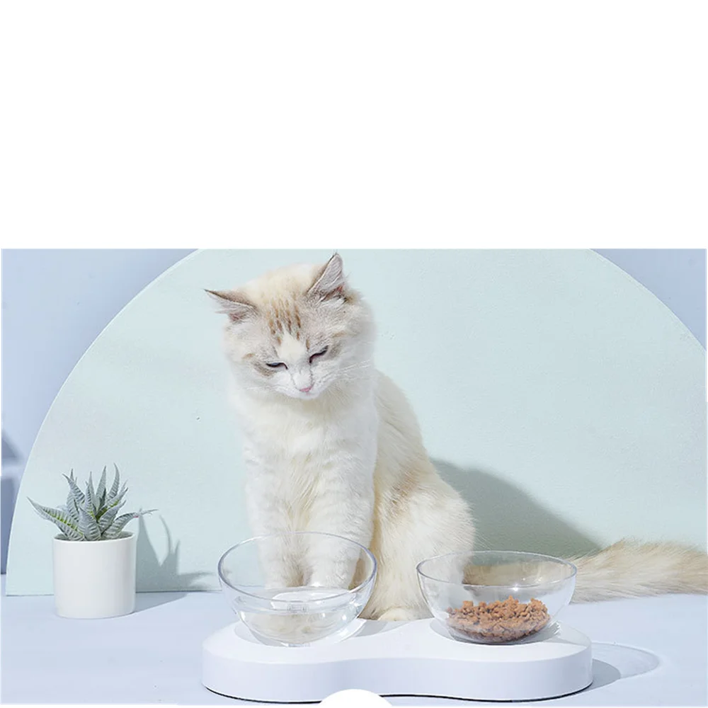 Pet Bowls For Cats And Puppies Plastic Bowls Tilted 20 Degrees Feeders With Food And Water For Dogs And Cats
Pet Bowls For Cats And Puppies Plastic Bowls Tilted 20 Degrees Feeders With Food And Water For Dogs And Cats