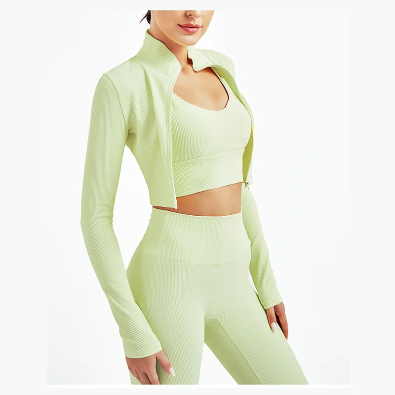 Fall Winter Women Yoga Tops Sports Seamless Gym Long Sleeve Crop Top Jacket Fitness Sportswear, 4 colors
Fall Winter Women Yoga Tops Sports Seamless Gym Long Sleeve Crop Top Jacket Fitness Sportswear, 4 colors
