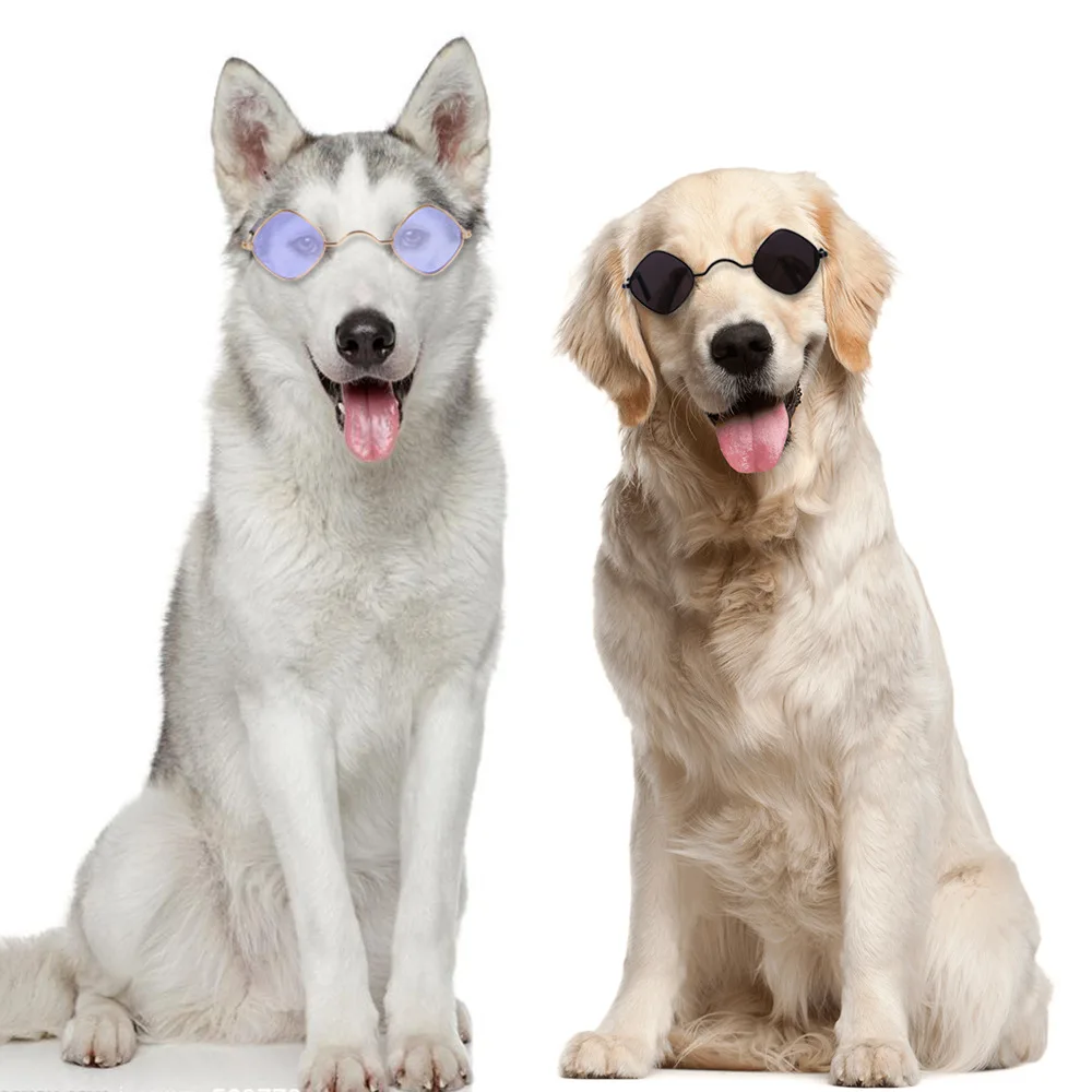 Wholesale Pet Supplies Accessories Fashion Dogs Sun Glasses Colorful Funny Dog Sunglasses
Wholesale Pet Supplies Accessories Fashion Dogs Sun Glasses Colorful Funny Dog Sunglasses