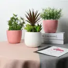 Home decoration custom logo stylish pink white ceramic plant flower pot