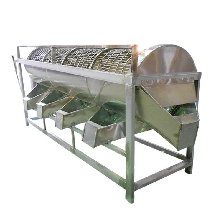 raw cashew nut processing machine kernel grading