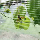 Best-selling agricultural products fruit fly net greenhouse insect-proof net
