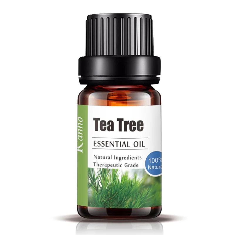 Hot Selling Customized Label High Quality Natural Tea Tree 10ml Pure Essential Oil for sale
Hot Selling Customized Label High Quality Natural Tea Tree 10ml Pure Essential Oil for sale