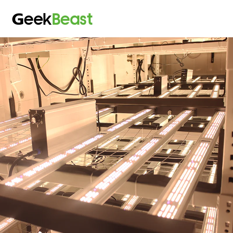 US Free Shipping Geeklight 630w Geekbeast Pro UV IR Switch Mod Chip Full Spectrum LED Grow Lights Bar for Indoor Plant
US Free Shipping Geeklight 630w Geekbeast Pro UV IR Switch Mod Chip Full Spectrum LED Grow Lights Bar for Indoor Plant