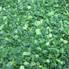 IQF Frozen Fresh Scallions Leek spring onion From China to Korea