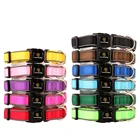 Embroidered Personalized Dog ID Collar with Padded Neoprene and Safety Reflection Strips