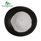 Wellgreen Herbal Extract Organic Resveratrol Bulk Powder