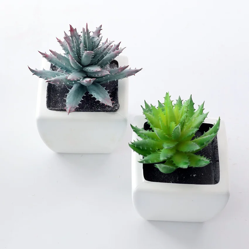 Mini Pot Artificial Plant Wedding Table Centerpieces Artificial Potted Plants Succulent Aloe Salon Decor Supplier Wholesale, Red,white,beige,burgundy or customized colours
Mini Pot Artificial Plant Wedding Table Centerpieces Artificial Potted Plants Succulent Aloe Salon Decor Supplier Wholesale, Red,white,beige,burgundy or customized colours