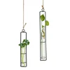 /product-detail/hanging-glass-tube-vase-test-tube-hanging-flower-vase-for-home-decoration-green-plants-wedding-flowers-patio-garden-decor-62232720245.html