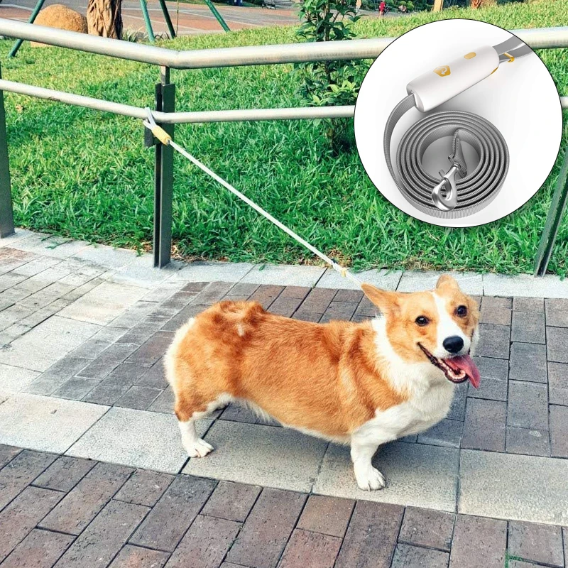 Young People Love Adjustable Length Strong Leash Dog Leash Hook Anti-Lost Leash Waterproof, White, yellow, black
Young People Love Adjustable Length Strong Leash Dog Leash Hook Anti-Lost Leash Waterproof, White, yellow, black