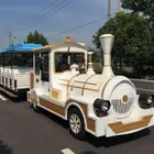 Amusement Park Games Ride Battery Trackless Train