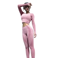 womens seamless two piece yoga set sports wear women long sleeve set fitness yoga set clothes
womens seamless two piece yoga set sports wear women long sleeve set fitness yoga set clothes