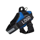 high quality new style chain dog harness
