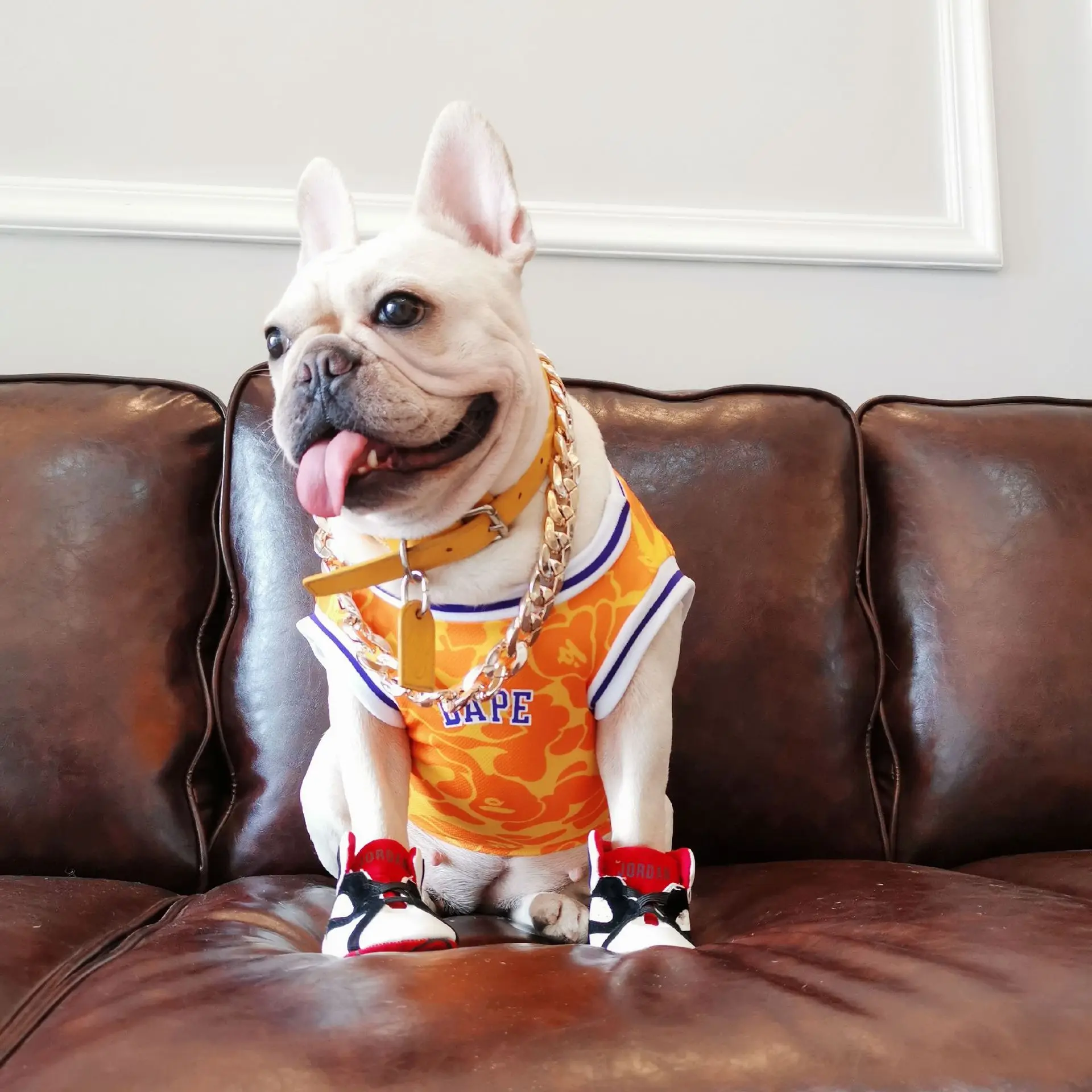 Wholesale Pet Bulk Apparel Vest Dog Clothes Summer Cheap Cotton Pet Cat T-shirt Dog Vest
Wholesale Pet Bulk Apparel Vest Dog Clothes Summer Cheap Cotton Pet Cat T-shirt Dog Vest