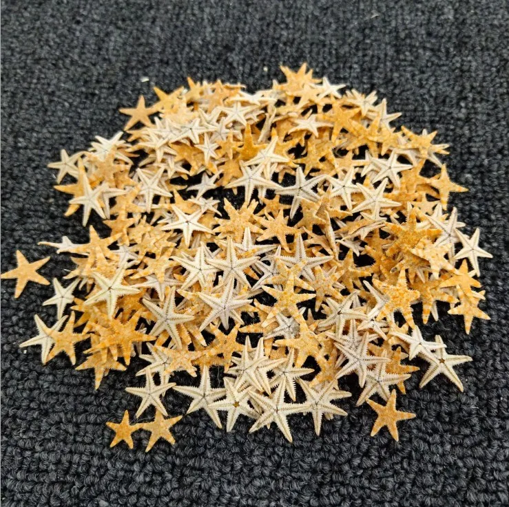 Real Nail Art Sea Star Studs Seaside 3D Decorations Sea Shell Star Feathers Nail Sequin Accessories Mini Small Sea Starr
Real Nail Art Sea Star Studs Seaside 3D Decorations Sea Shell Star Feathers Nail Sequin Accessories Mini Small Sea Starr