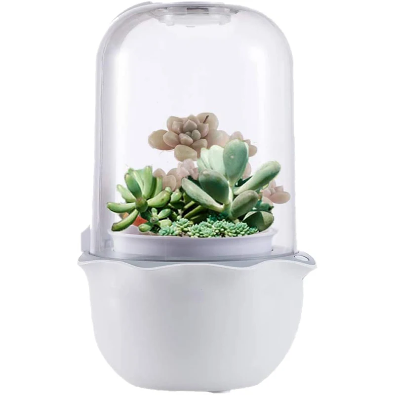 2021 top sale China smart Mini succulent Indoor Smart Garden Pot for Succulent Plants with LED Light, White
2021 top sale China smart Mini succulent Indoor Smart Garden Pot for Succulent Plants with LED Light, White