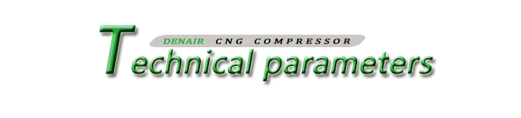 natural gas cng compressor 250 bar