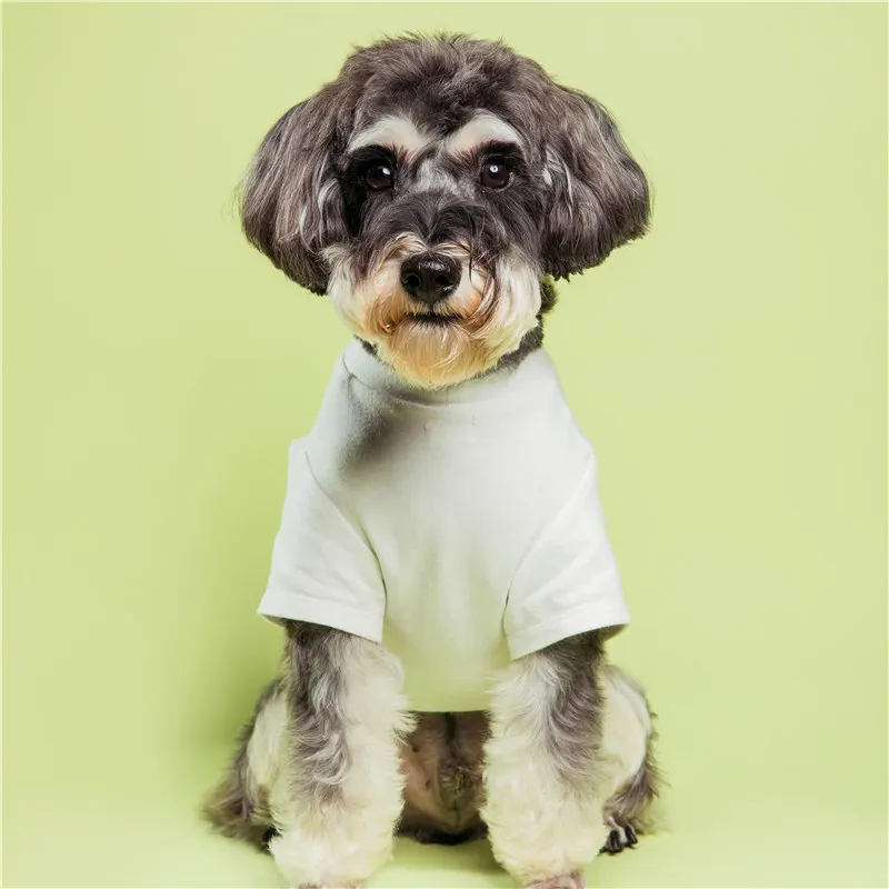 UFBemo dog t-shirt pet clothing summer dog clothes blank cotton plain dog t shirt for wholesale
UFBemo dog t-shirt pet clothing summer dog clothes blank cotton plain dog t shirt for wholesale