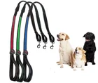 new products on china market dog leash nylon pet accessories flashing leash pet products dog led leash