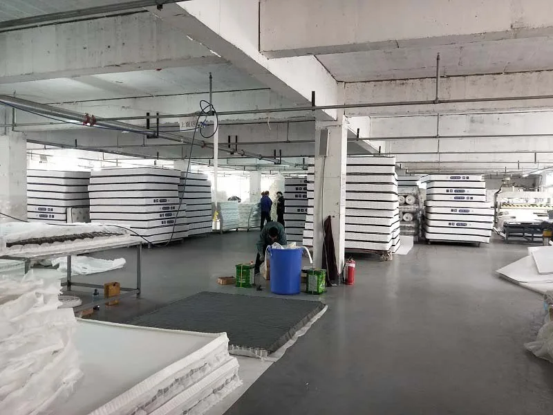 Hot Sale In Korea And Japan Latest fashion Floor  Mattress Bed Topper Pressure Relief  Multiduty 7 Zone Shaped Foam Topper