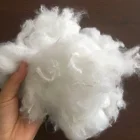 Free sample PSF staple fibre for non-woven fabric