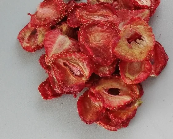 Cassava Fruit and Vegetable Drying Machine Meat Food Fish Dehydrator Heat Pump Dryer Machine factory