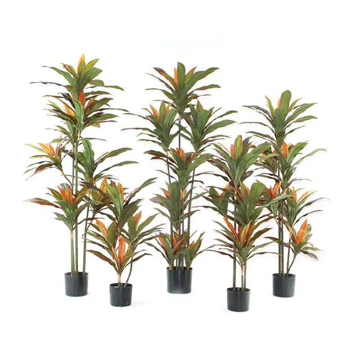 High quality artificial plants faux green plant red dracaena fragrans tree cordyline fruticosa tree in pot
High quality artificial plants faux green plant red dracaena fragrans tree cordyline fruticosa tree in pot