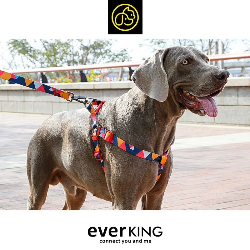 Personalized pattern heat transfer dog walking harness top quality leash harness, As picture
Personalized pattern heat transfer dog walking harness top quality leash harness, As picture