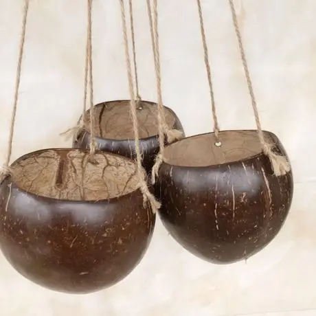 Export High Quality Coconut Shell Bowls Natural Handmade Hanging Flower Coconut Plant Pots for Sale 
Export High Quality Coconut Shell Bowls Natural Handmade Hanging Flower Coconut Plant Pots for Sale